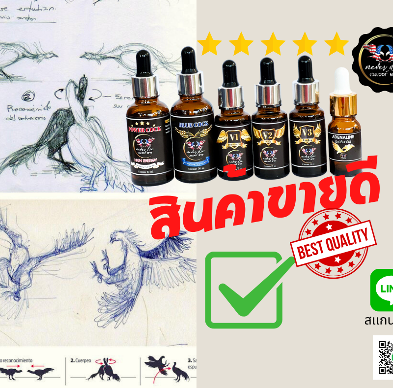 ชุดโด๊ปไก่ชนเนเวอร์ดายน์ ชนเเพงได้